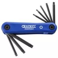 E469263 EXPERT Набор из 8 ключей Torx®